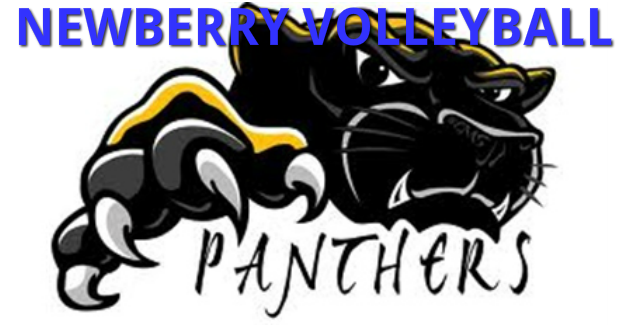 Newberry Volleyball Panther