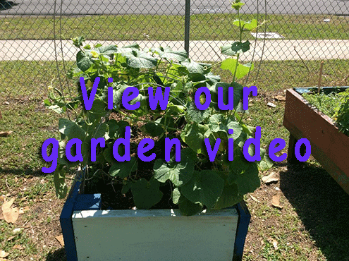 View our Community Garden video