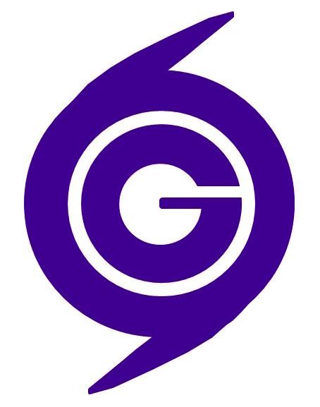 GHS elective form