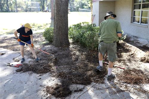 Photo of community volunteers doing yardwork