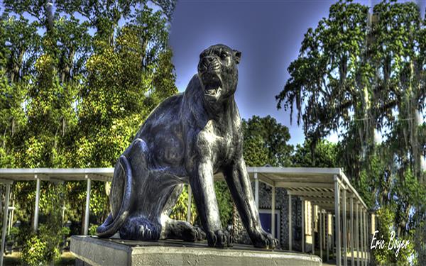 Panther Panther